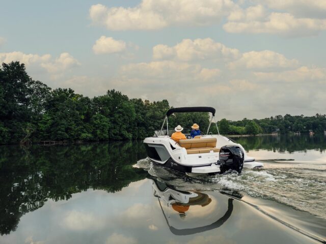 BAYLINER D22 NO.10